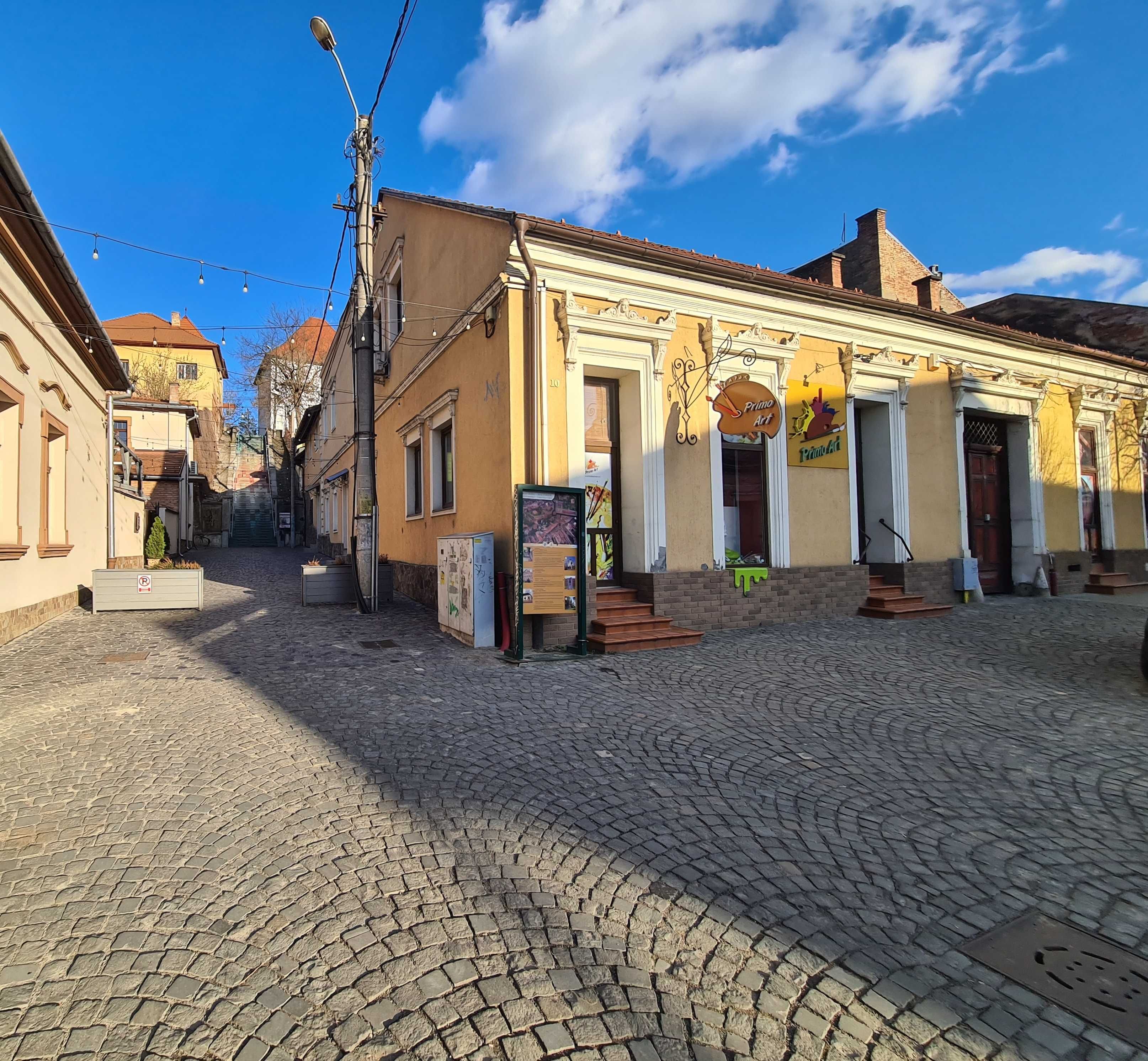 Commercial space ultracentral Târgu Mureș